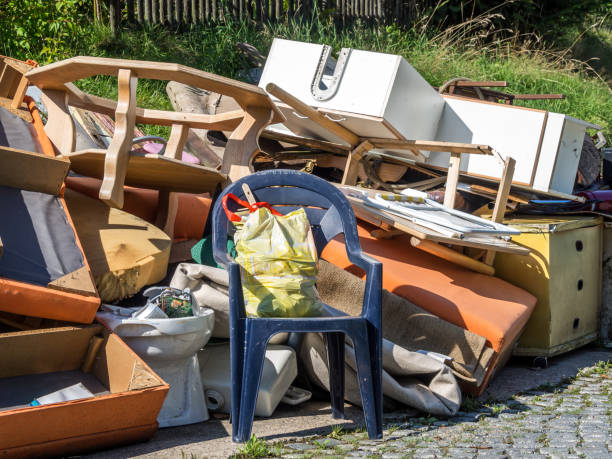 Best Professional Junk Removal  in Springerville, AZ