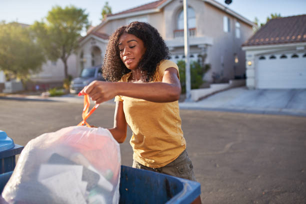 Best Basement Cleanout Services  in Springerville, AZ