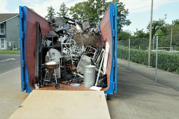Best Yard Waste Removal  in Springerville, AZ
