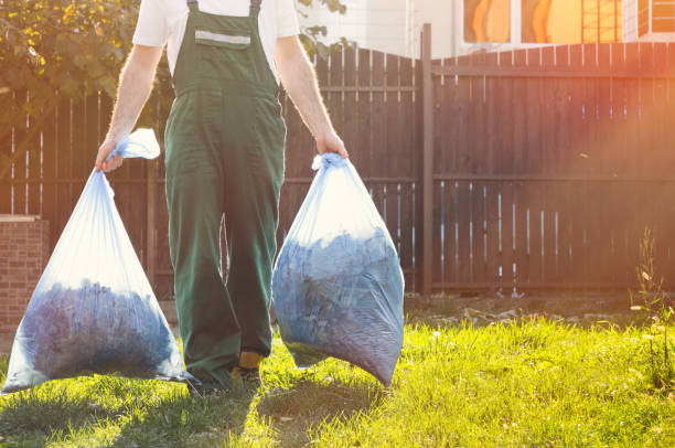 Best Trash Removal Near Me  in Springerville, AZ