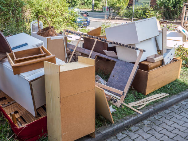 Best Dumpster Rental Services  in Springerville, AZ