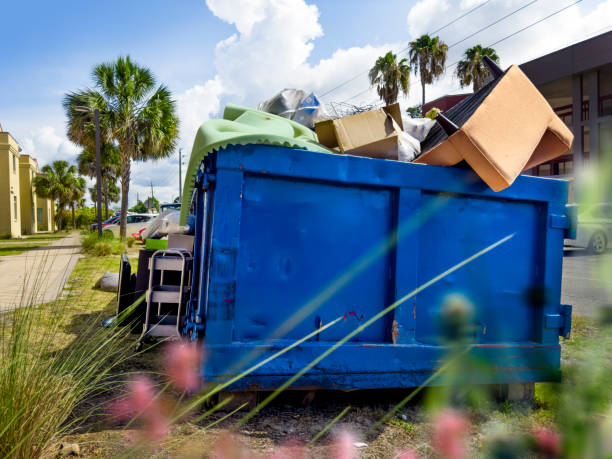 Best Construction Debris Removal  in Springerville, AZ