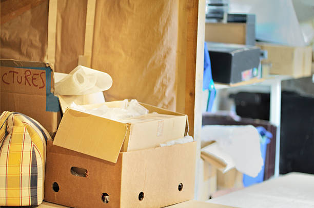 Best Household Junk Removal  in Springerville, AZ