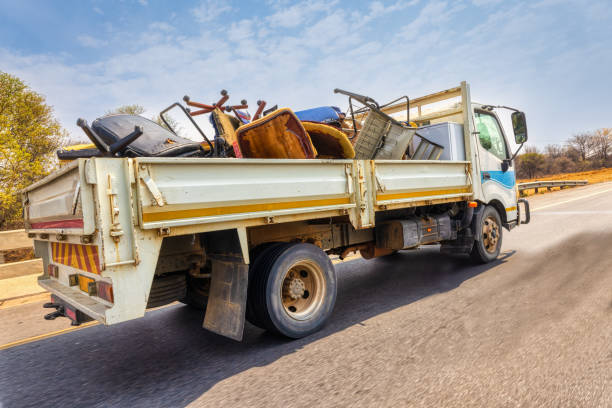 Yard Cleanup Services in Springerville, AZ