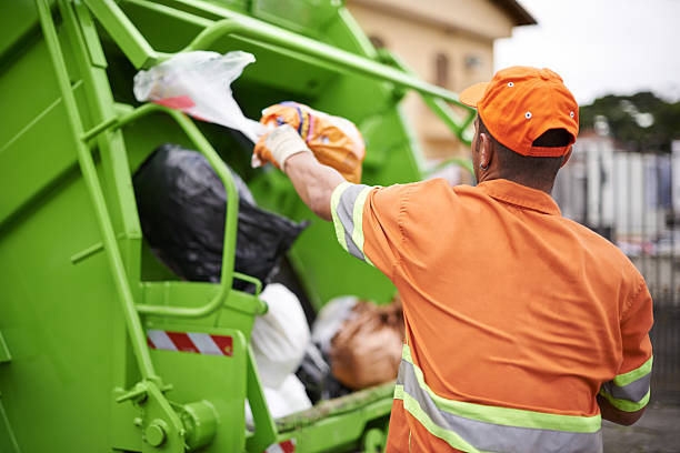 Professional Junk Removal in Springerville, AZ