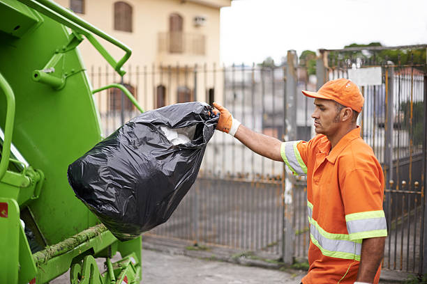 Best Affordable Junk Removal Services  in Springerville, AZ