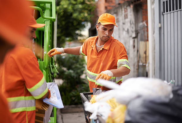 Best Attic Cleanout Services  in Springerville, AZ